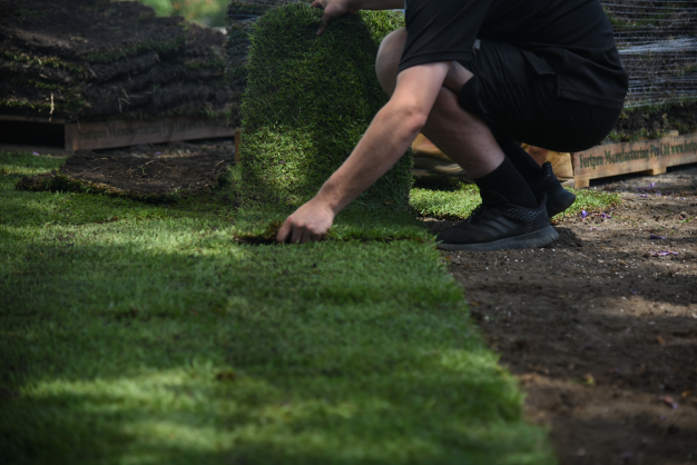 Workers laying turf