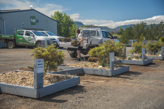Freshly installed grass turf