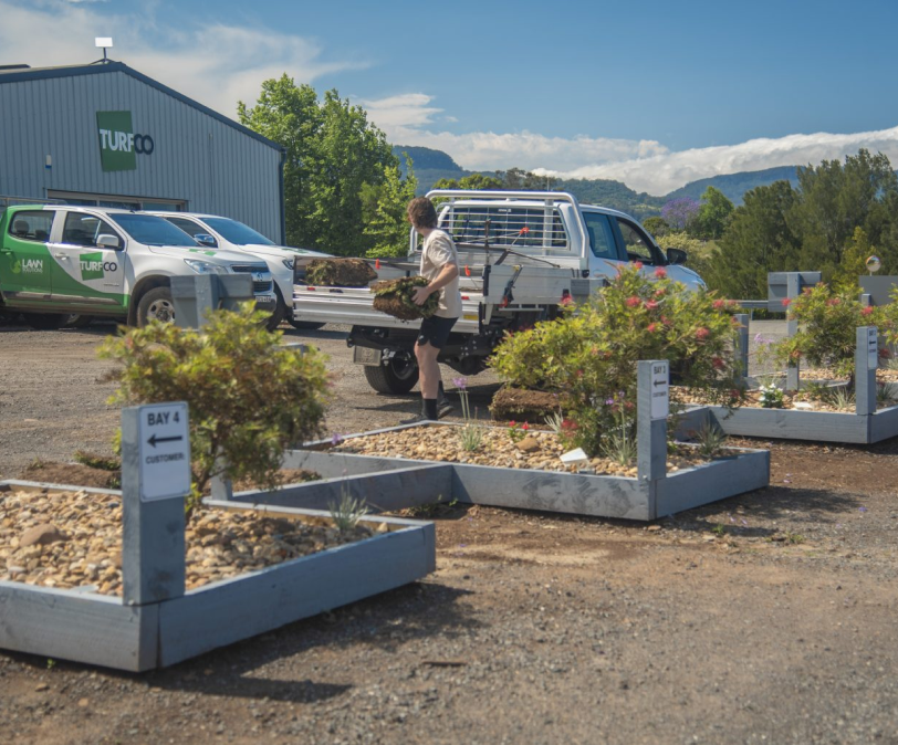 New turf in residential garden