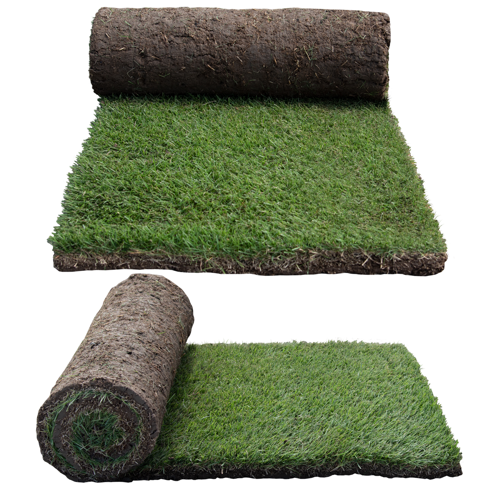 Sir Grange turf rolls