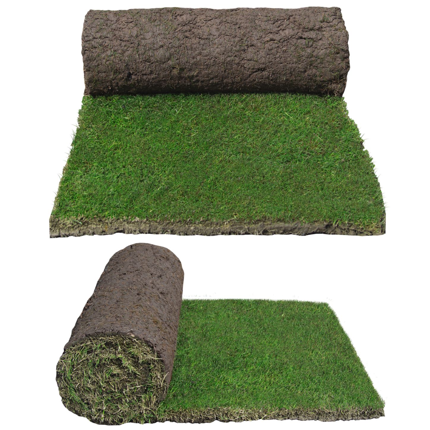 TifTuf turf rolls