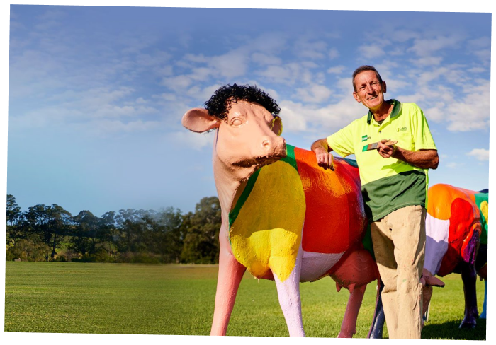 cow-banner cow banner