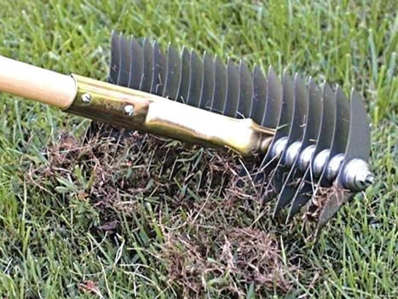 Dethatching rake Dethatch your lawn